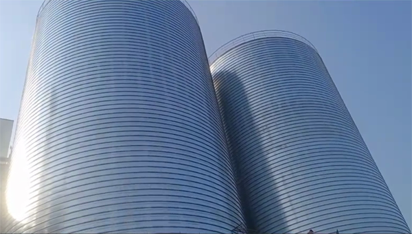 滕州2座混凝土高架卷板仓